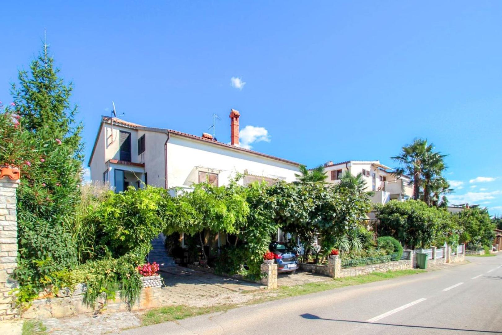 Apartament Mirjana Four Novigrad  Zewnętrze zdjęcie