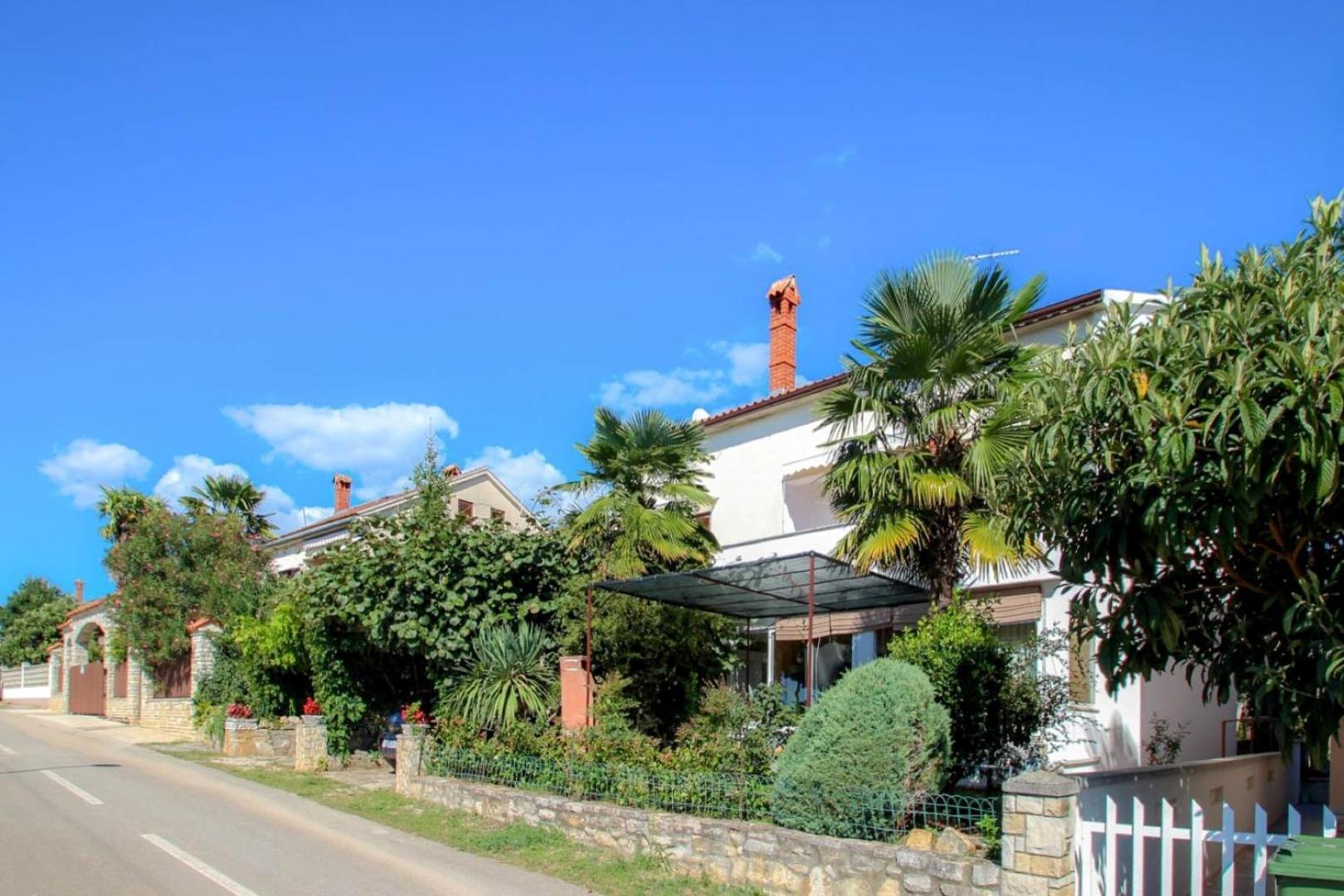 Apartament Mirjana Four Novigrad  Zewnętrze zdjęcie